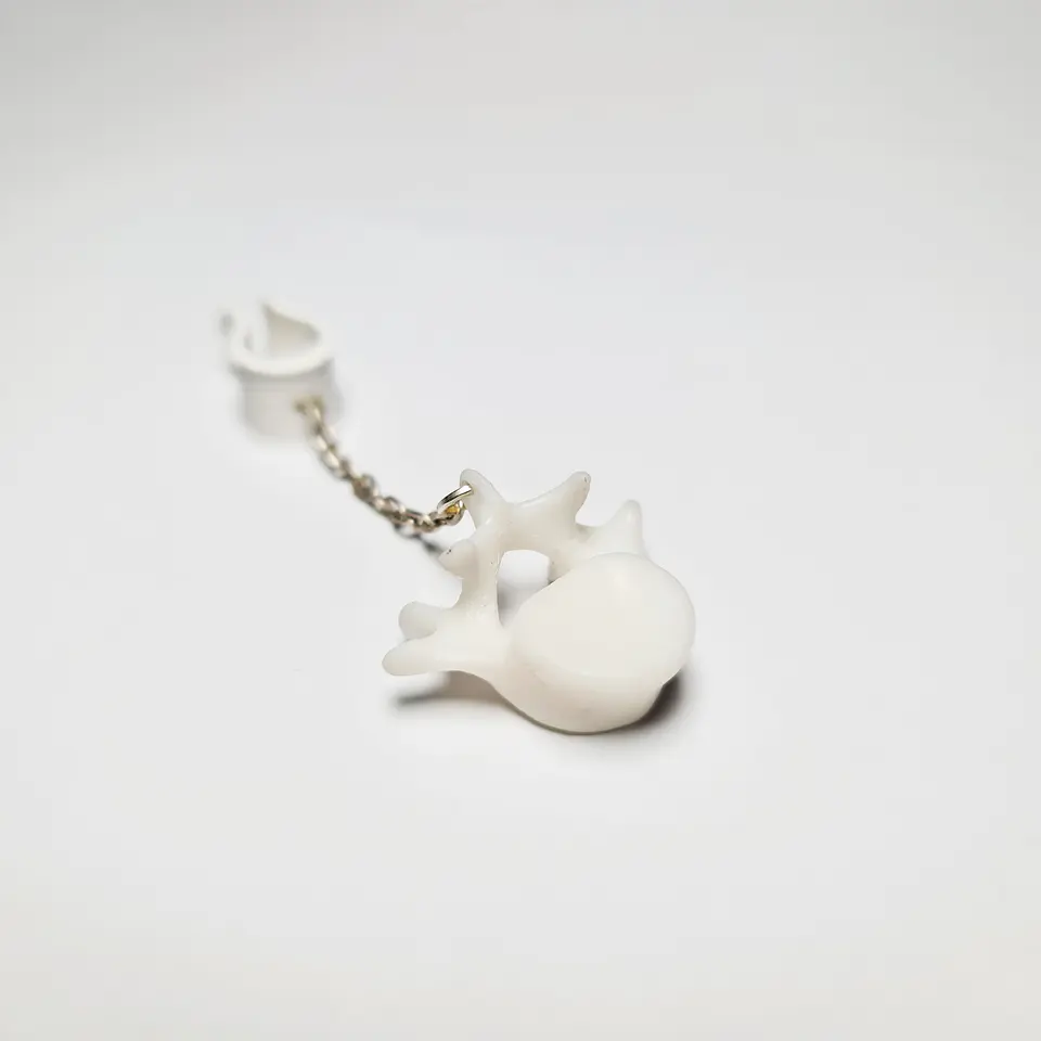 Ear Clip Vertebrae (Hoops without piercing) 3