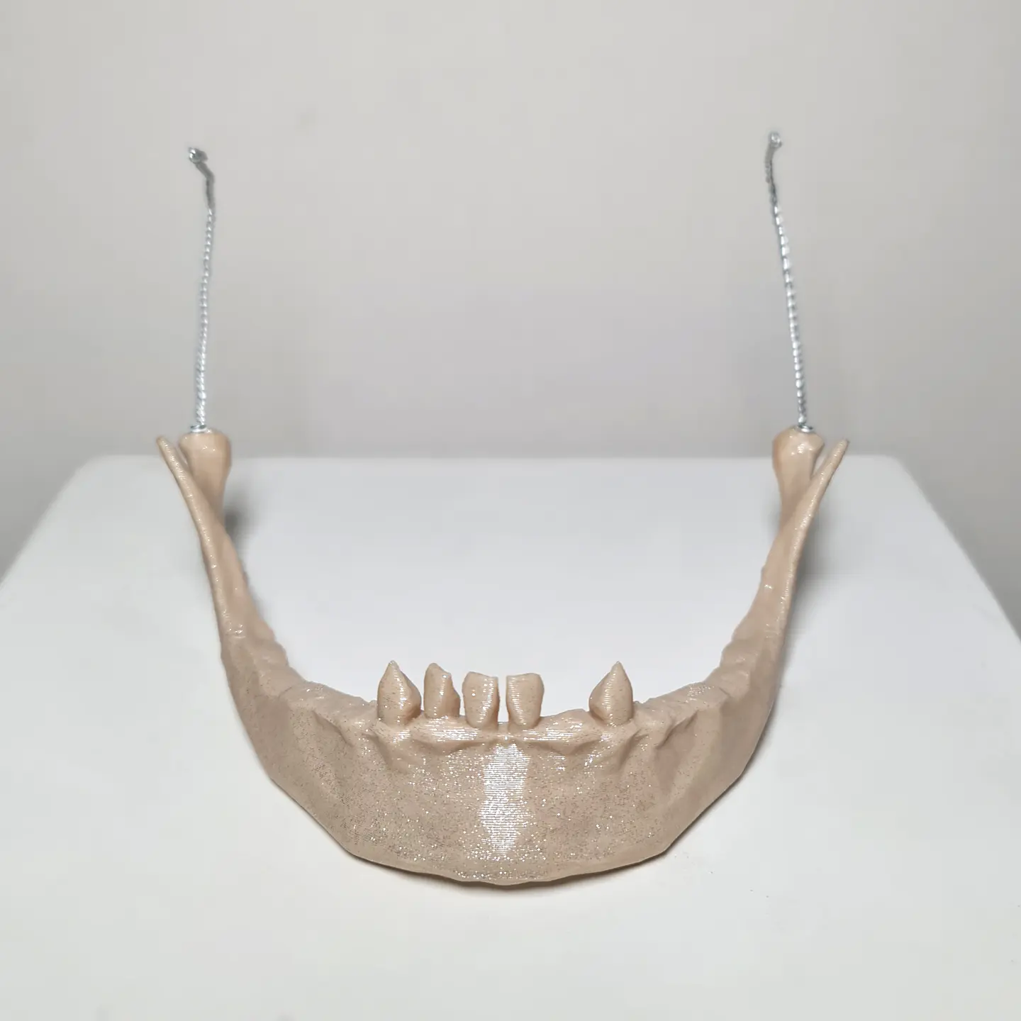 Mandíbula Calavera #1 5