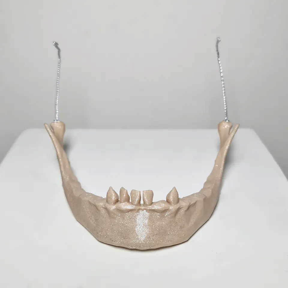 Mandíbula Calavera #1 5