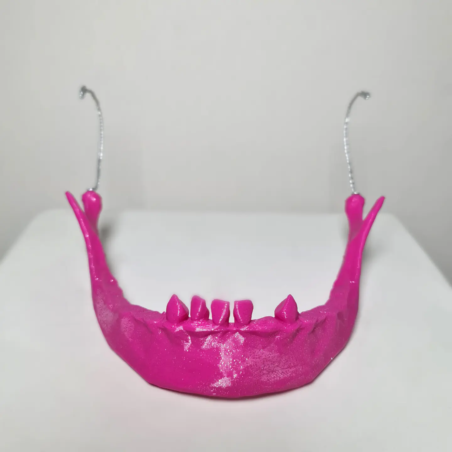 Mandíbula Calavera #1 7