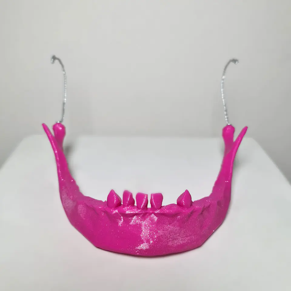 Mandíbula Calavera #1 7