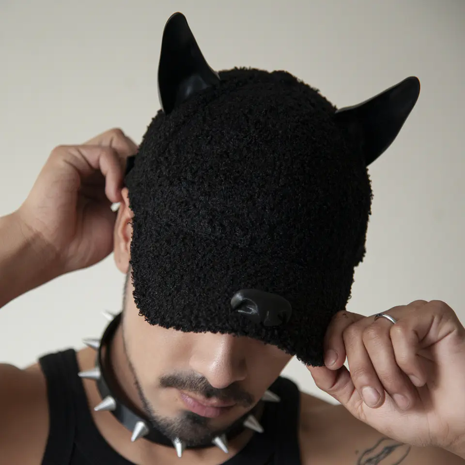 Dog Cap 2