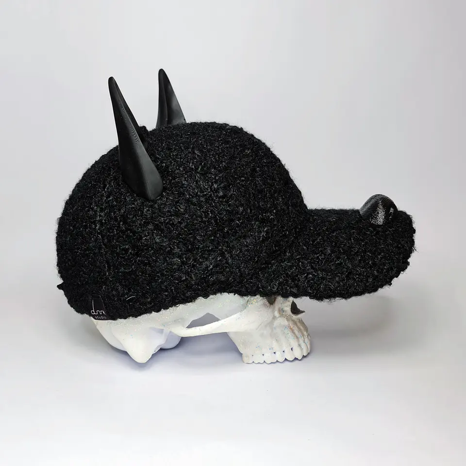 Dog Cap 4
