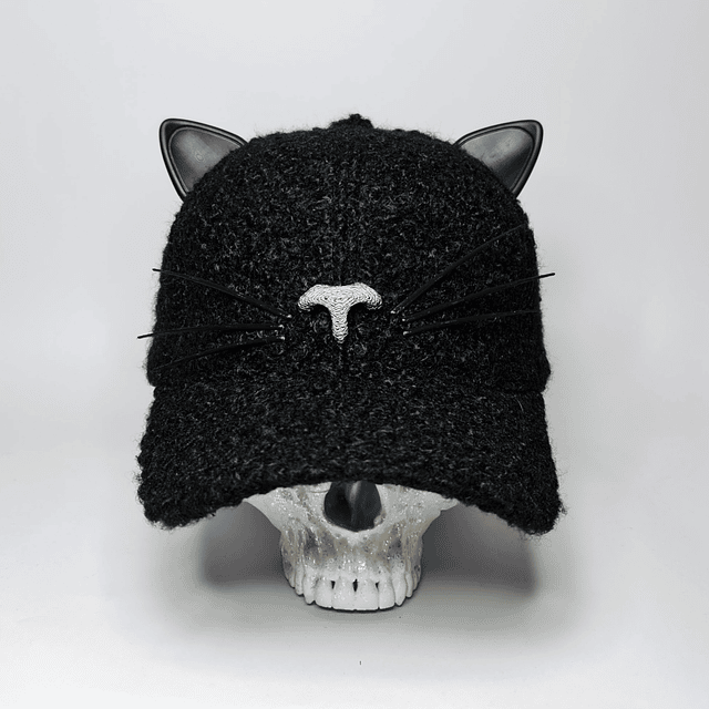 Cat Cap 3