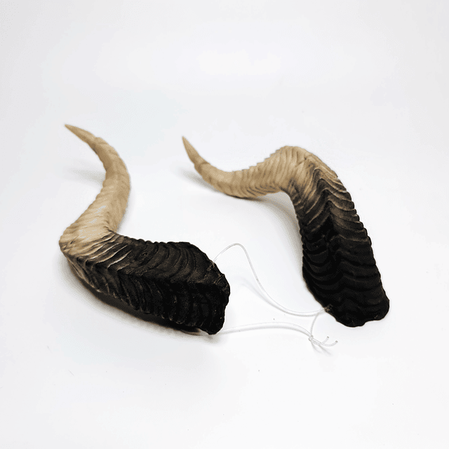 Draco Horns 6