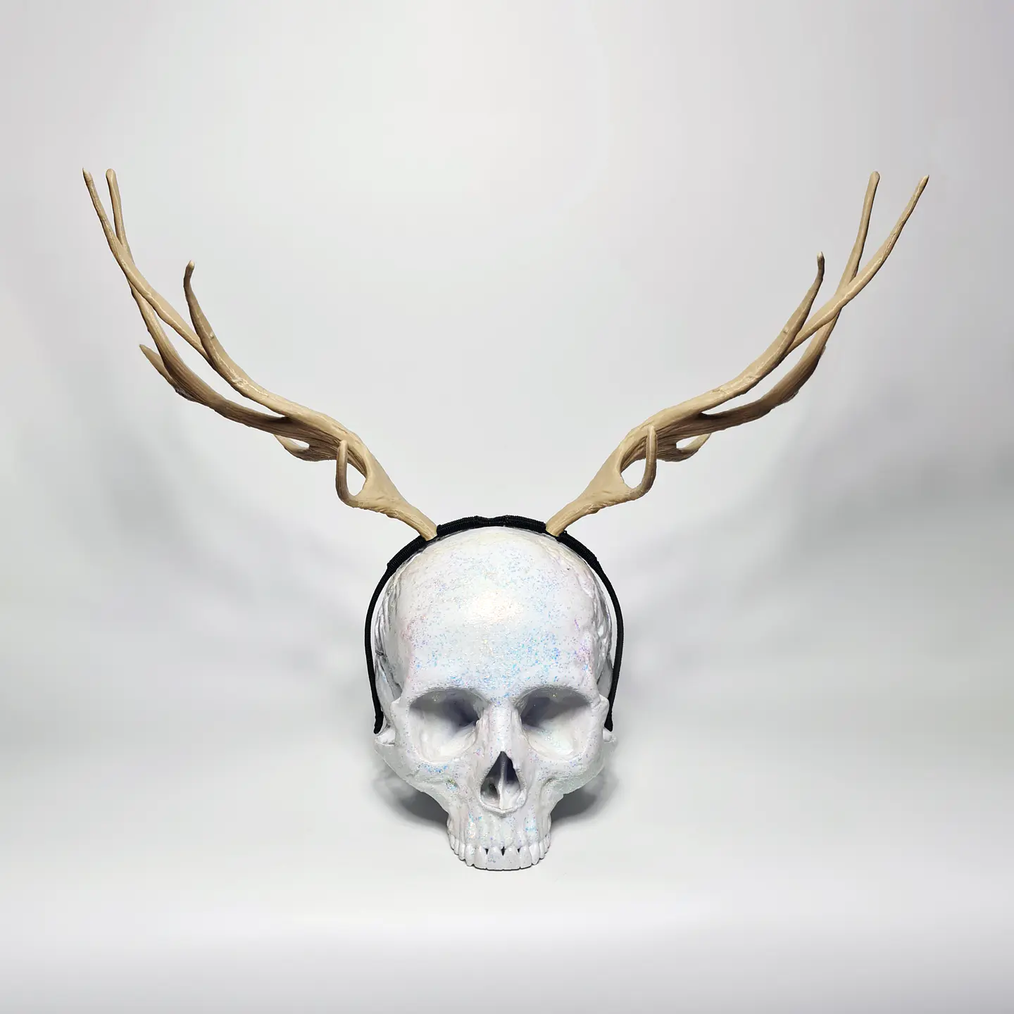 Elk Horns 2