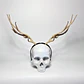 Elk Horns - thumbnail 2