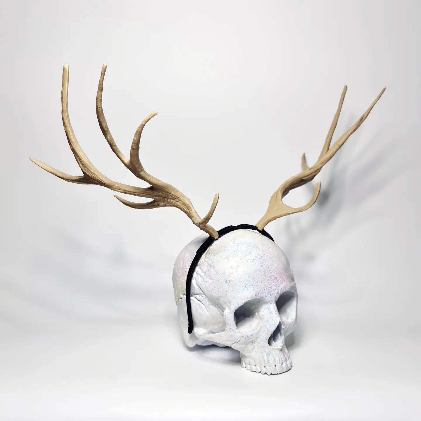 Elk Horns 1