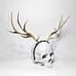 Elk Horns - thumbnail 1