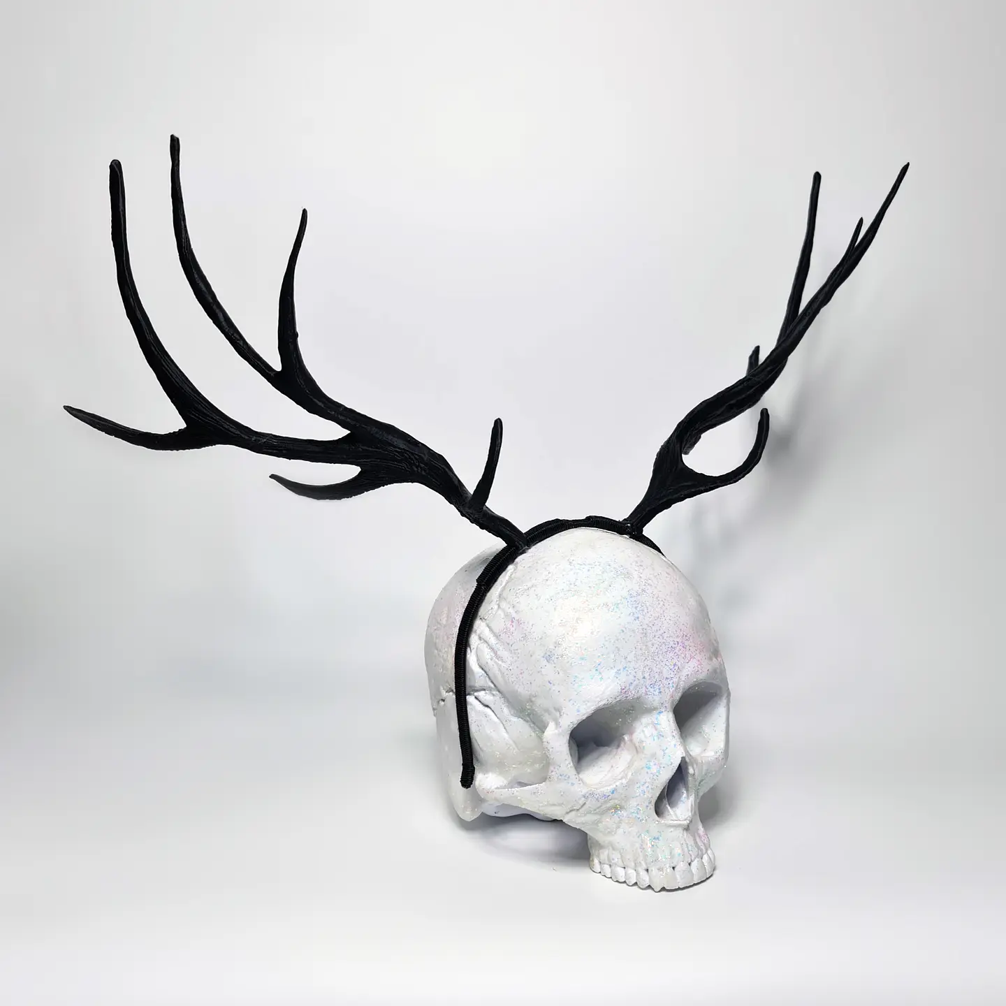 Elk Horns 4