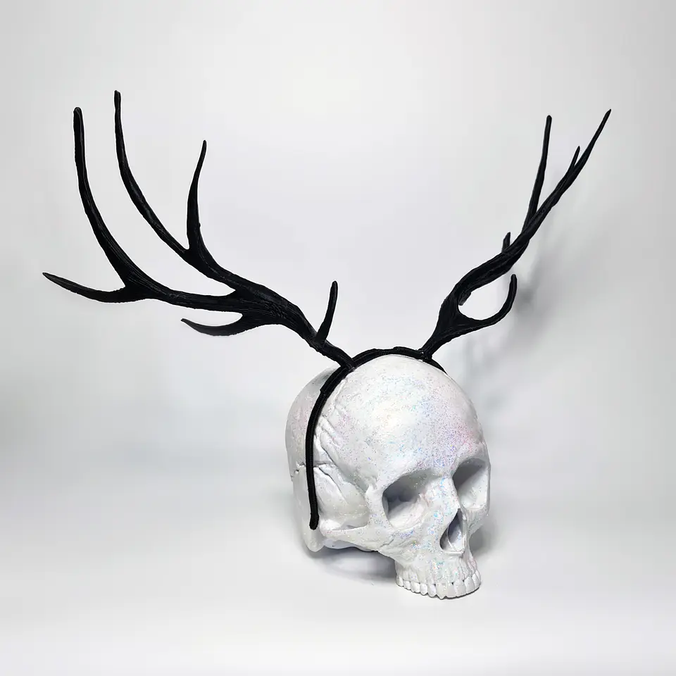 Elk Horns 4