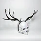 Elk Horns - thumbnail 5