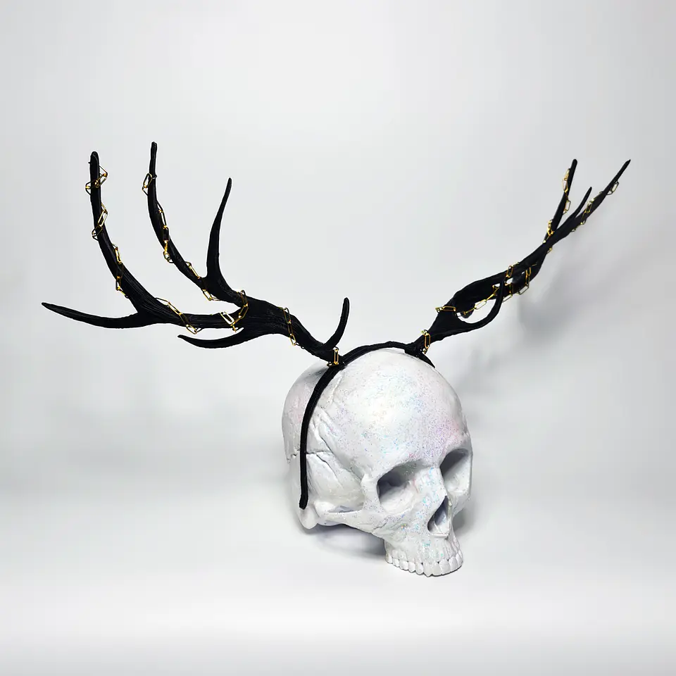 Elk Horns 5