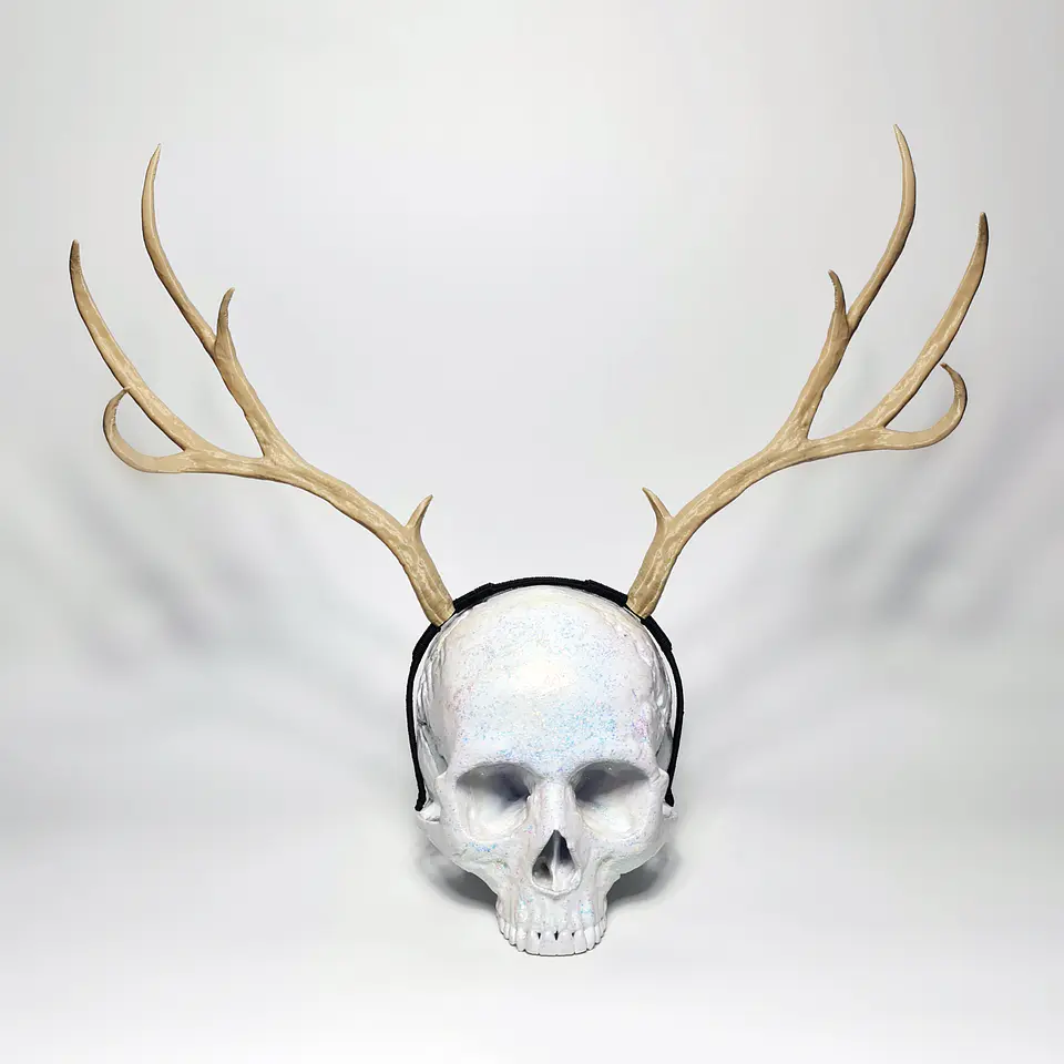 Mule Horns 2
