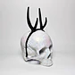 Huemul Horns (without ears) - thumbnail 1