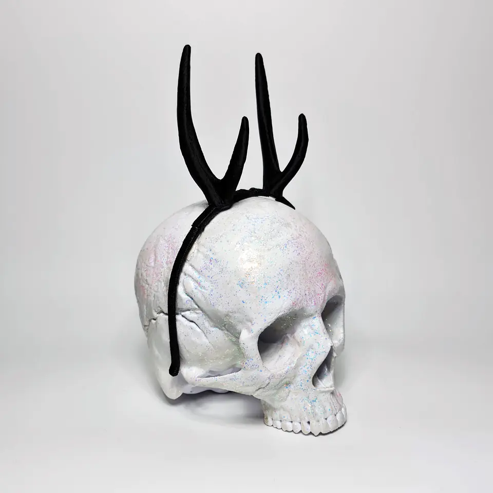 Huemul Horns (without ears) 1