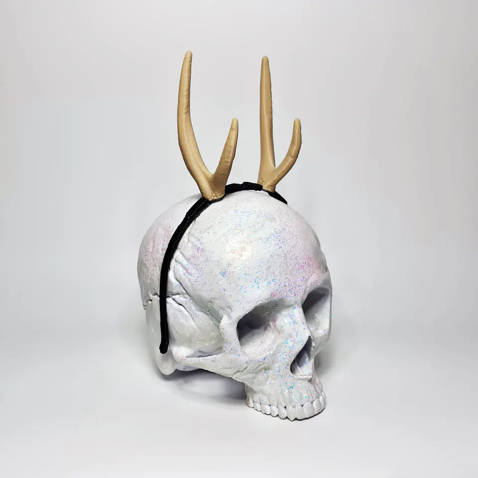Huemul Horns (without ears) 4