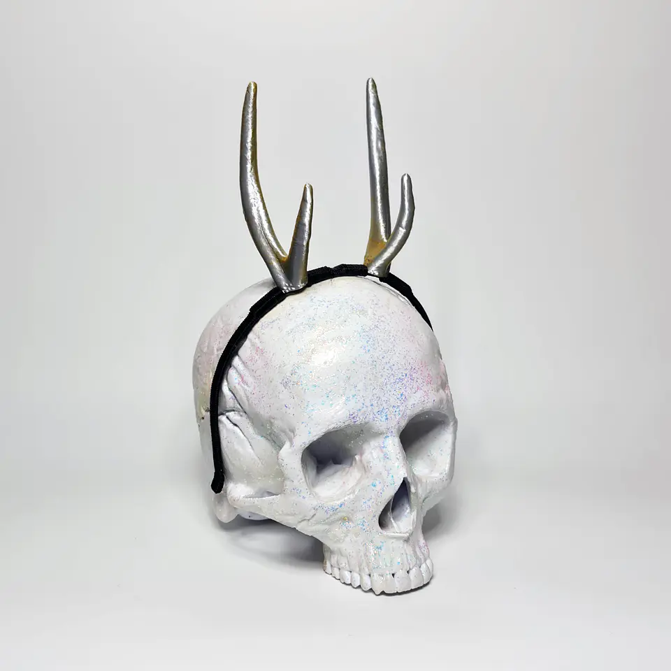 Huemul Horns (without ears) 5