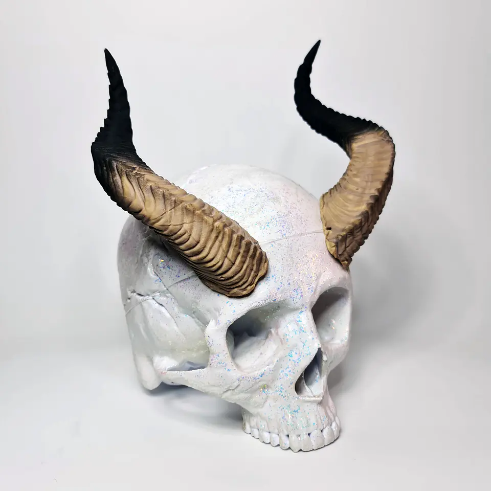 Draco Cuernos 7
