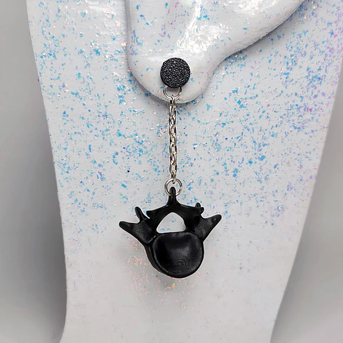 Aro Vertebrae