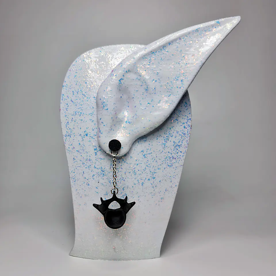 Aro Vertebrae 2