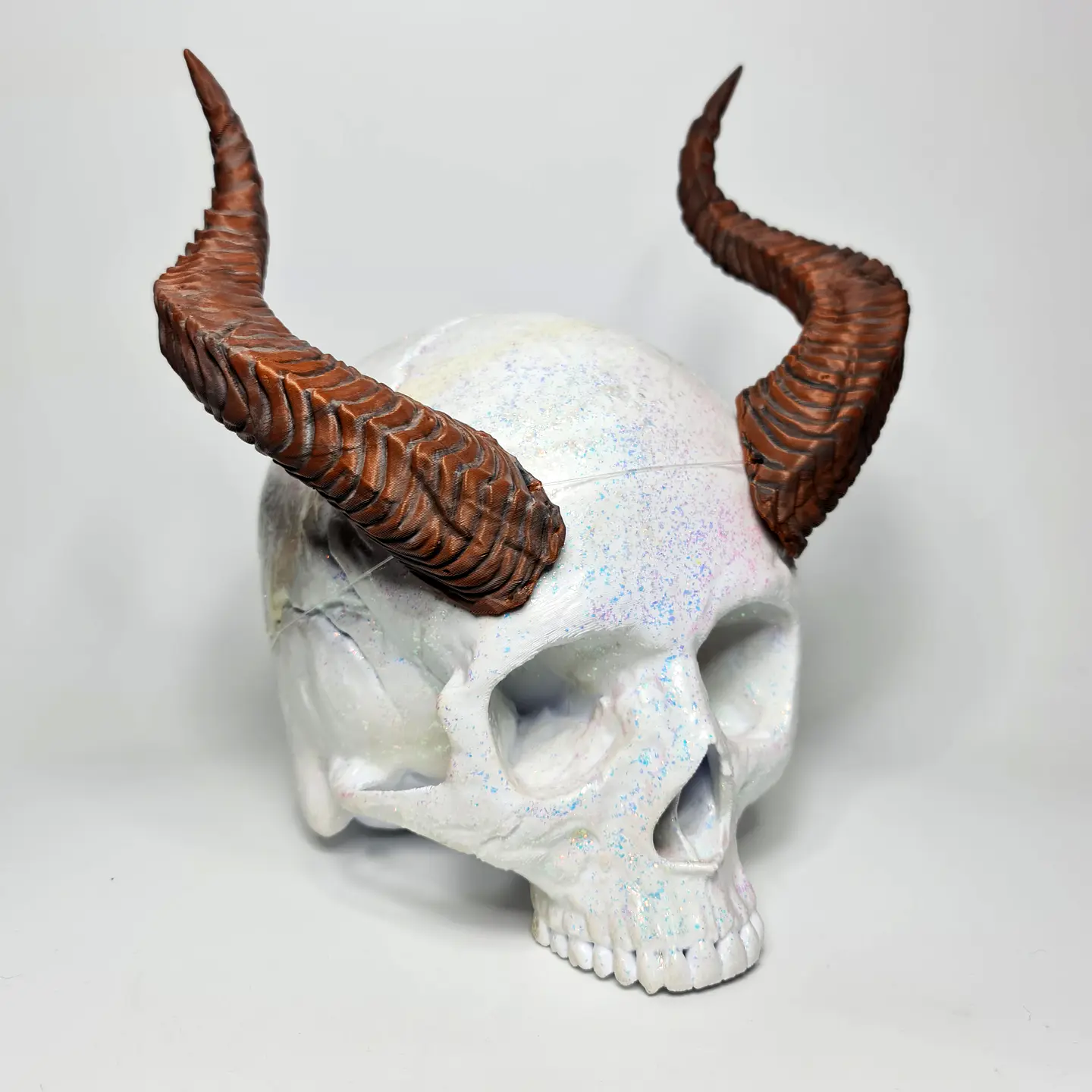 Draco Cuernos 9