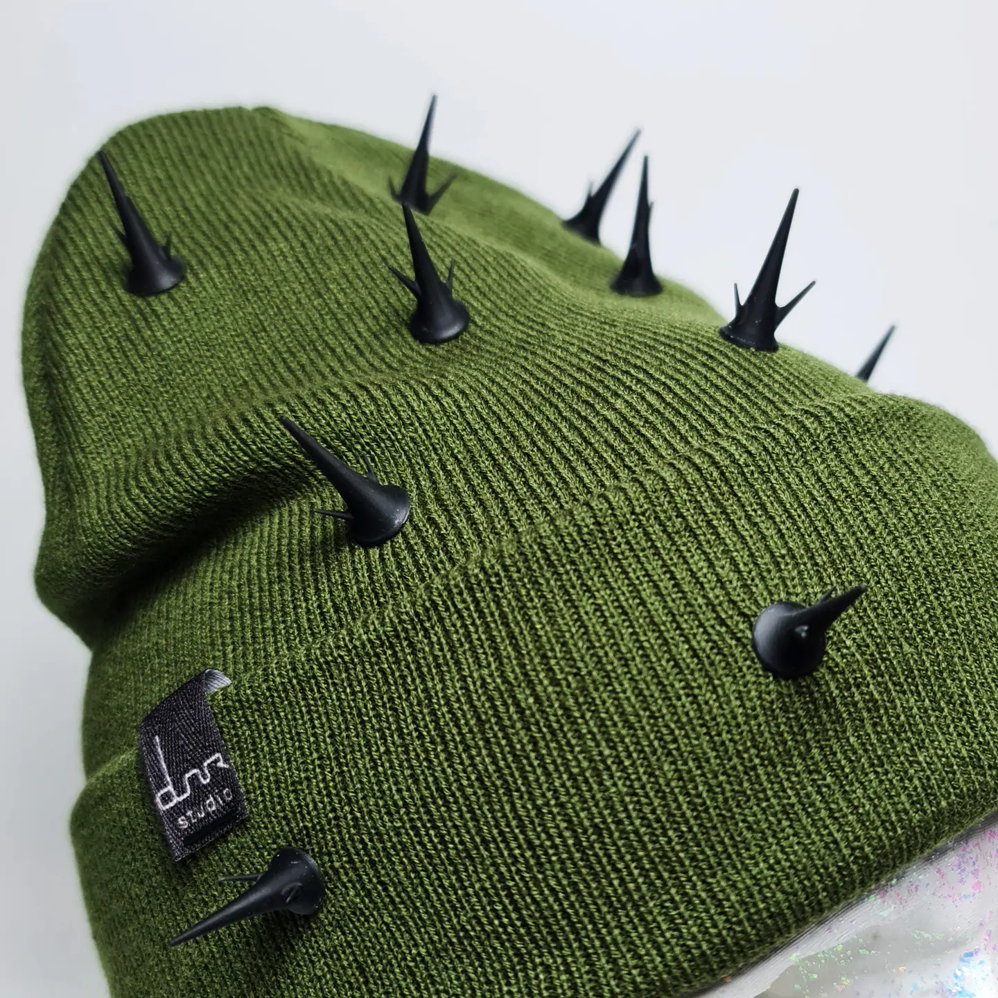 Beanie Echinopsis 5
