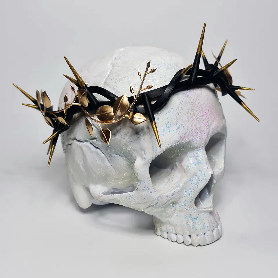 Corona de Espinas 11