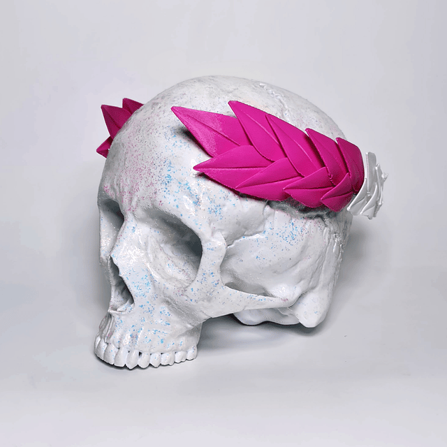 Corona Laurel (bicolor)