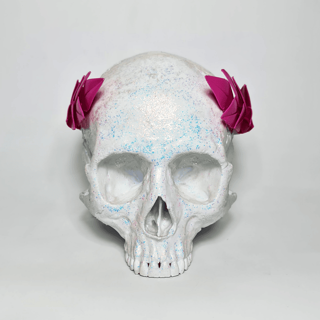 Corona Laurel (bicolor)