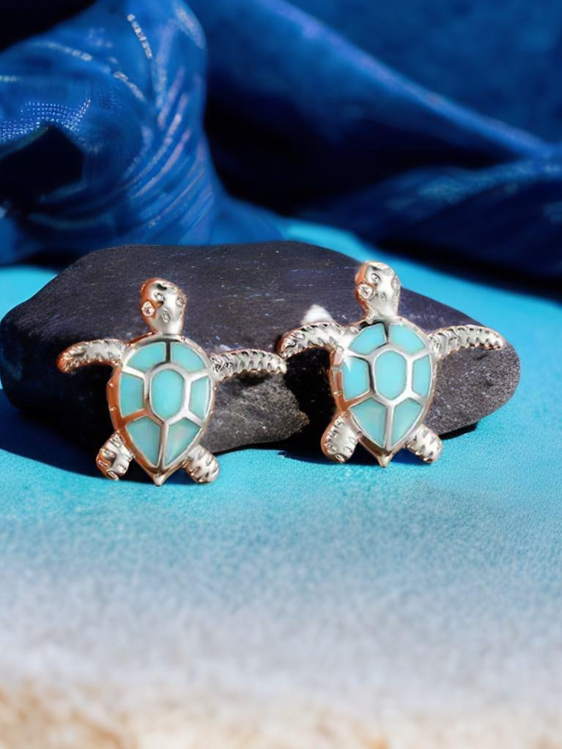 Aros de tortuga 2
