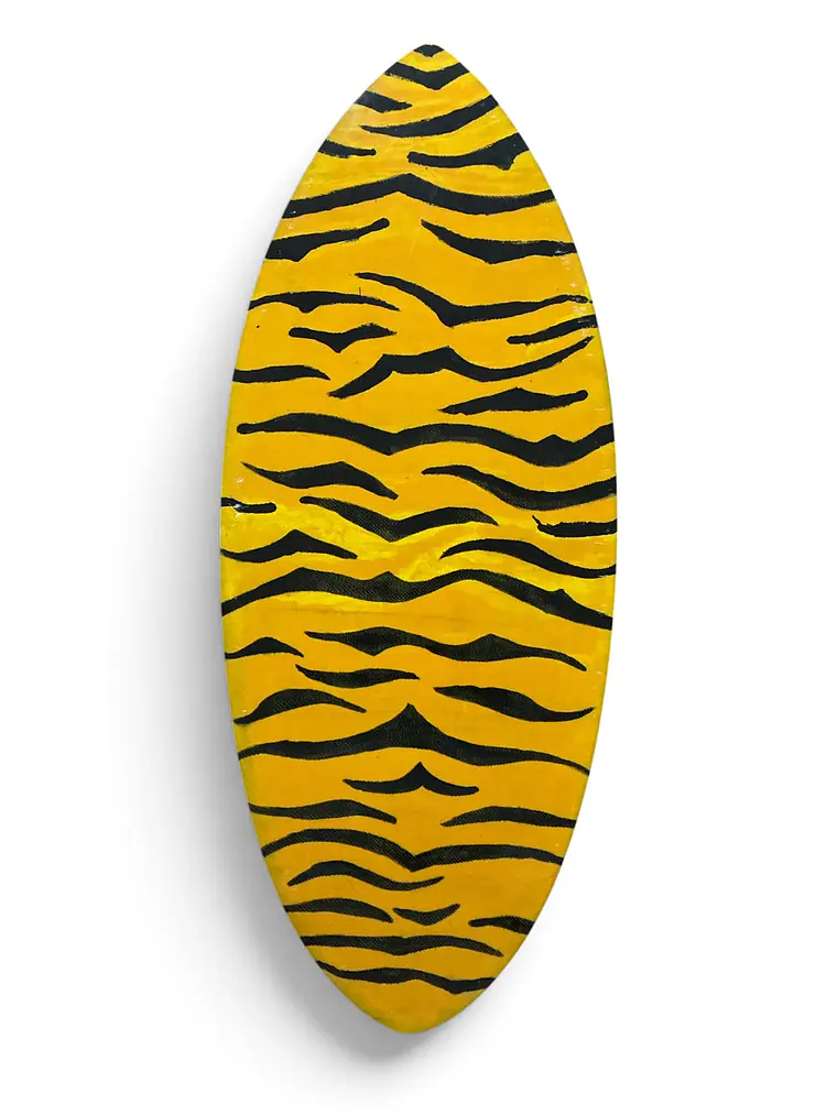 TABLA DE SKIMBOARD 3