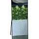 Espejos Pedestal  → Decoración Interior