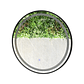  Espejo LED Redondo L04 Black 60 cm - Miniatura 4