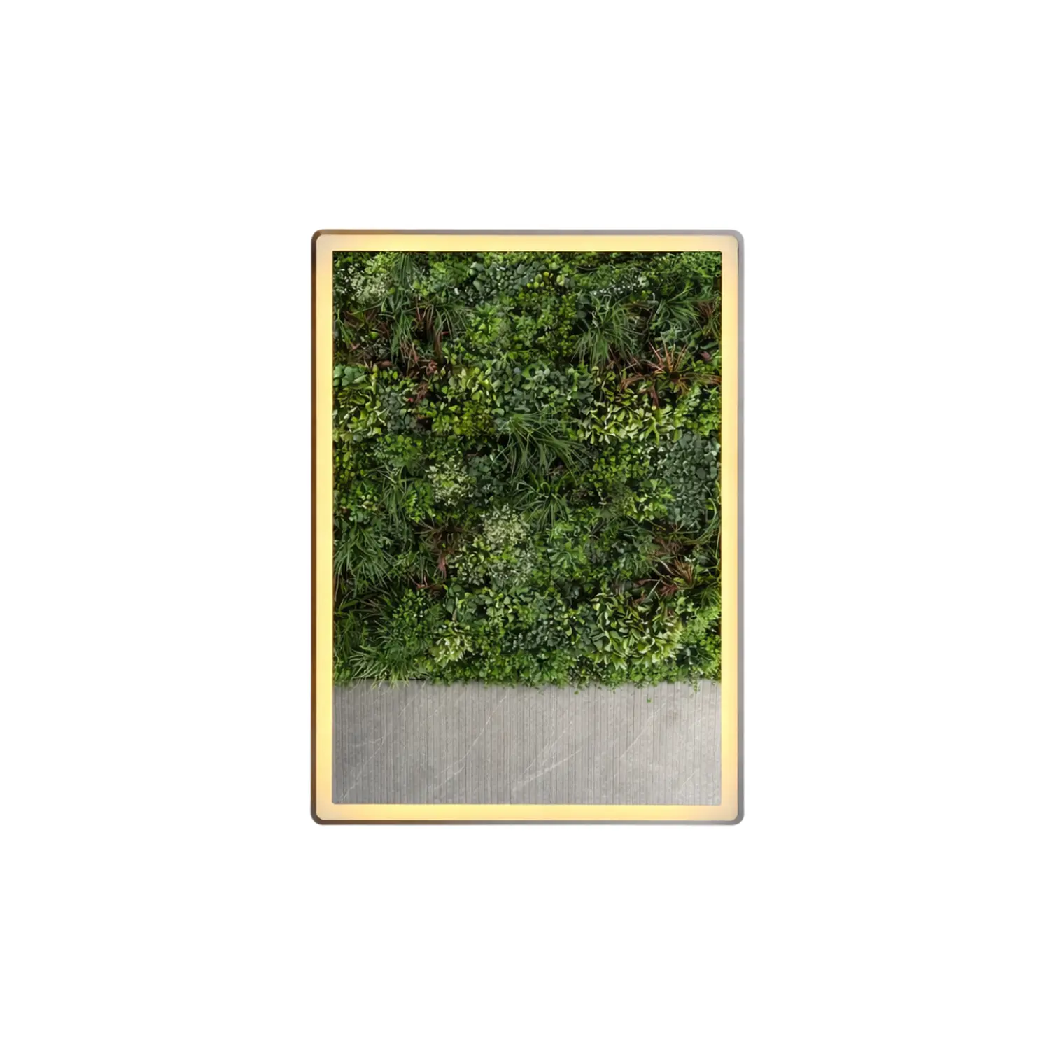 Espejo Led Sin Marco 50x70 cm 1