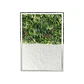 Espejo Led Sin Marco 50x70 cm - Miniatura 4