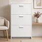 Mueble Zapatero color Blanco  - Miniatura 1