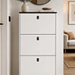 Mueble Zapatero Organizador 3 Niveles Blanco Con Gris Oscuro 118x60x24 cm - Miniatura 1