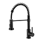  Llave Monomando Lavaplatos Flexible Black - Miniatura 1