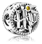 Charm De Harry Potter Varios Bañado Plata Ley 925 - Miniatura 6