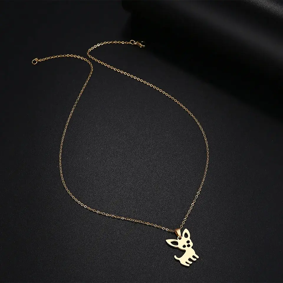 Collar Perrito Mascota Dog Acero Inoxidable Colgante Unisex 5