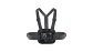 Chesty - Miniatura 1