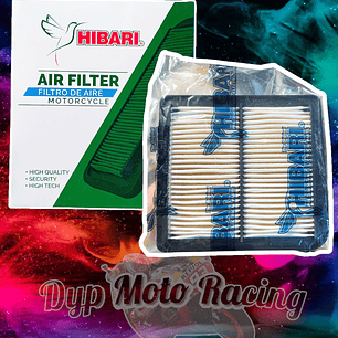 FILTRO AIRE SUZUKI GIXXER 250 V STROM 250 SX