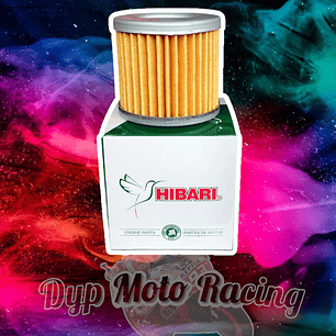 Filtro de aceite gixxer 150 gn 125 gz 150 hyosung gtr250 rks 150 corsa r335