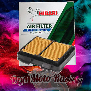 Filtro Aire Para Moto Voge 300 Rally / Sx250tt / Ds250
