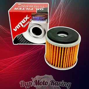 Filtro De Aceite Benelli Tnt 250 Leoncino 250 Trk 250 Vitrix