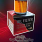 Filtro De Aceite R15 Fz 250 Ys 250 Ybr 250 Yzf 250 450 X-Max 300 - Miniatura 2