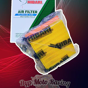 FILTRO DE AIRE XR 125 DSR 200 TEKKEN 250 TTX 150 NK 450 SR 450