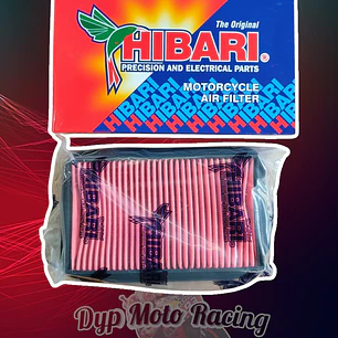Filtro Aire Honda Cb 125f / Cb1 Twister / New Storm
