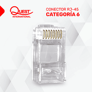 Conector RJ-45 Categoría 6 Bolsa con 20 conectores